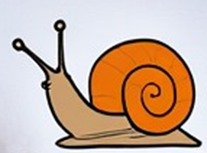 logo snail